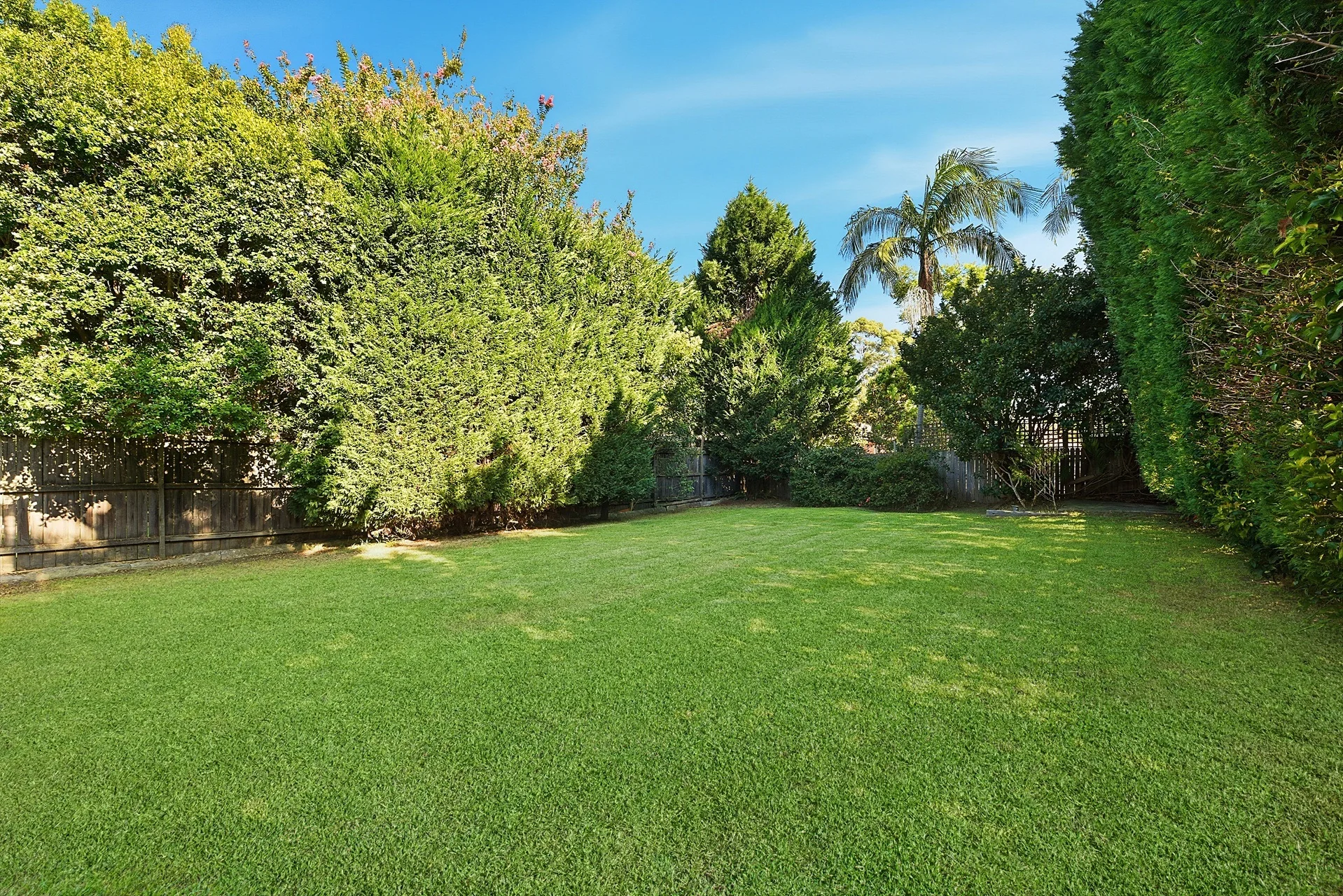 8 Penkivil Street, Willoughby, NSW 2068