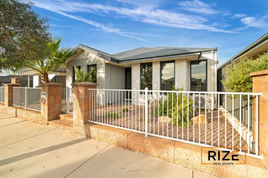 8 Pistil Link, Banksia Grove, WA 6031
