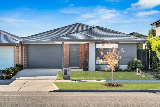 82 Athenaeum Avenue, Clyde North, Vic 3978