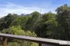 85 Glenock Road, Dum Dum, NSW 2484-Image