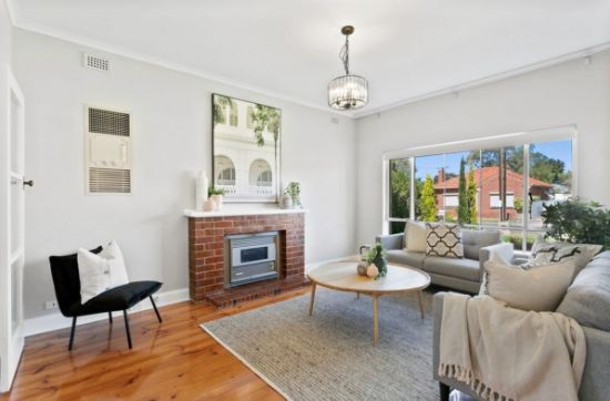 87 Selth Street, Albert Park, SA 5014