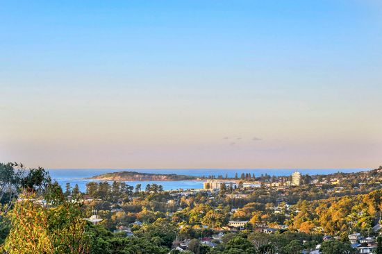 9 Amelia Place, North Narrabeen, NSW 2101