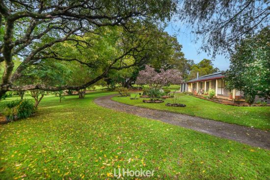9 Molly's Grass Road, Rous Mill, NSW 2477