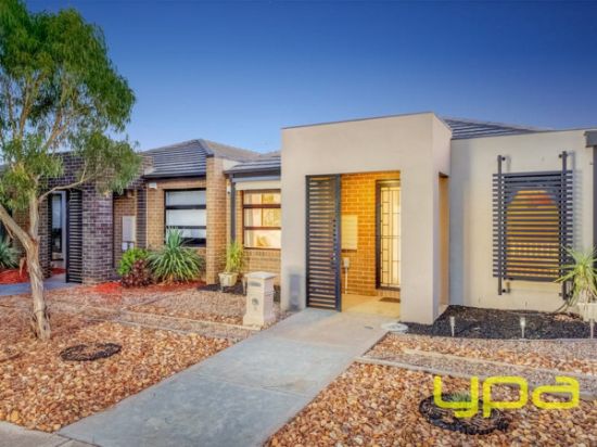 9 Peppermint Walk, Melton, Vic 3337