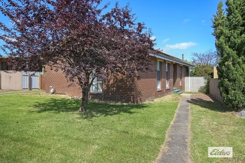 91 Chapple Street, Wodonga, Vic 3690
