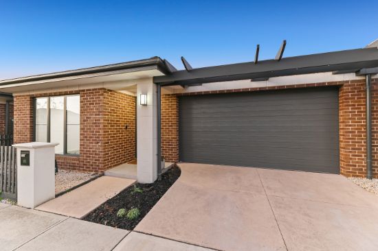 93 Billy Buttons Drive, Narre Warren, Vic 3805