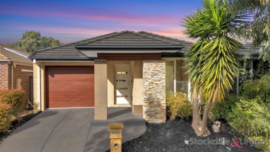 97 Everard Road, Mernda, Vic 3754