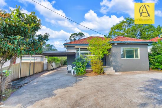 97 woodville Road, Chester Hill, NSW 2162