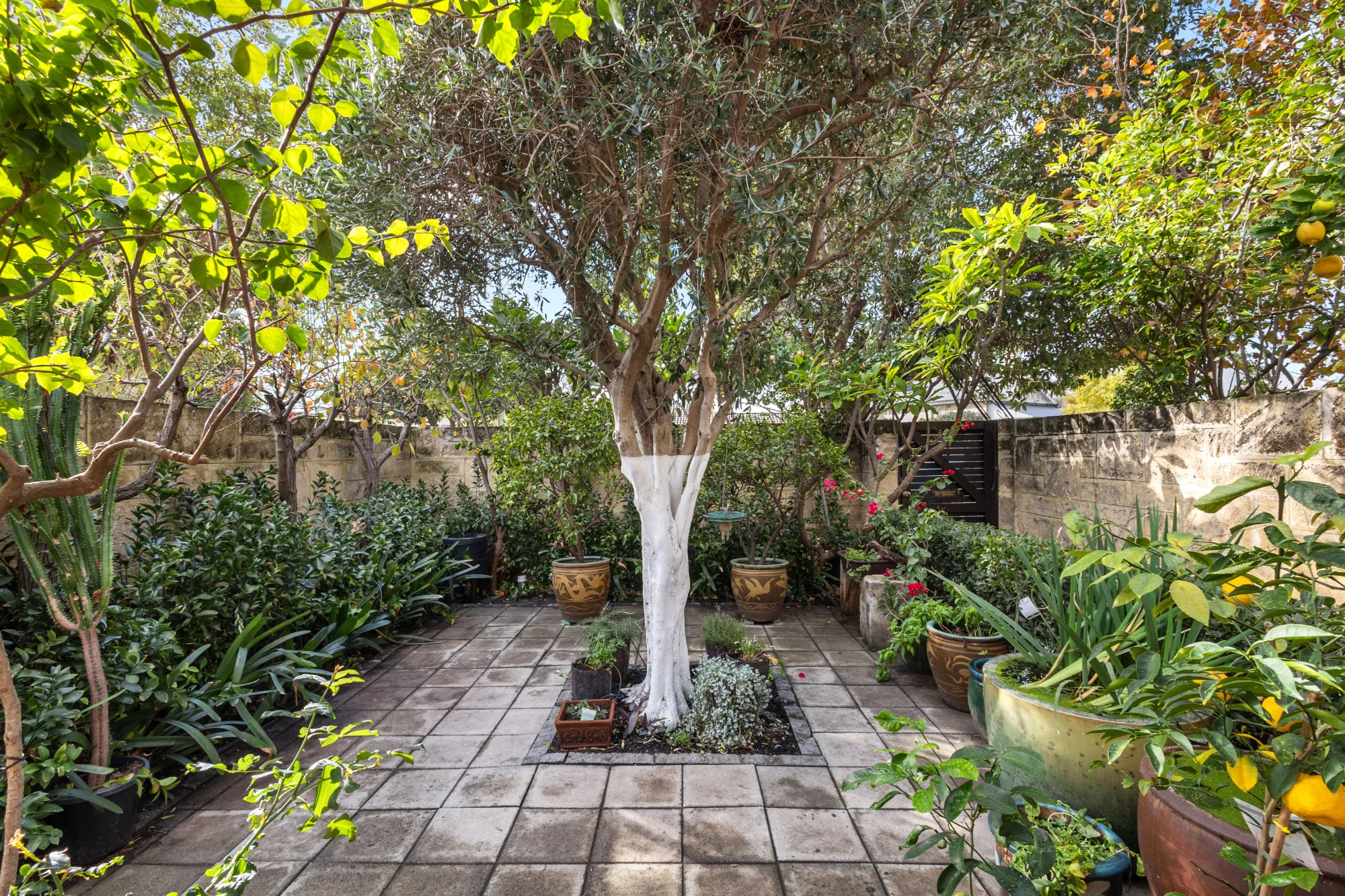 99 Carr Street, West Perth, WA 6005