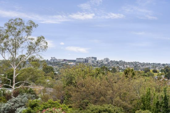 99 Greythorn Road, Balwyn North, Vic 3104