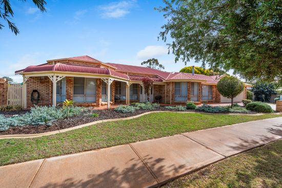 9B Scotia Court, Hannans, WA 6430