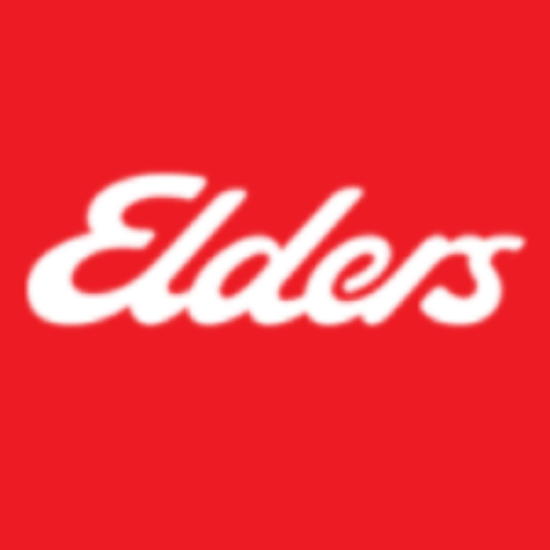 Elders Real Estate - Lidcombe - Real Estate Agency