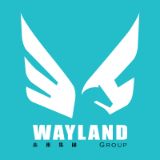 Jacky Yi  - Real Estate Agent From - Wayland Group - .