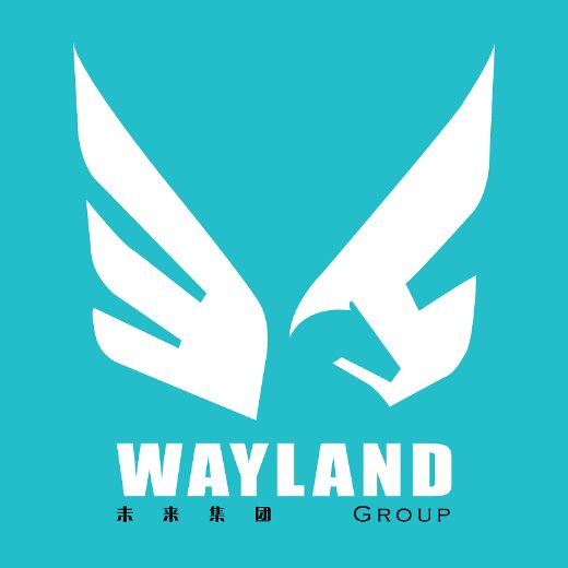 Jacky Yi  - Real Estate Agent at Wayland Group - .
