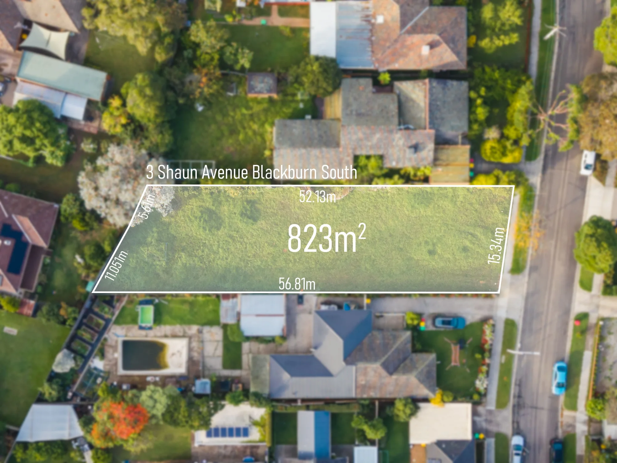 3 Shaun Avenue, Blackburn South VIC 3130