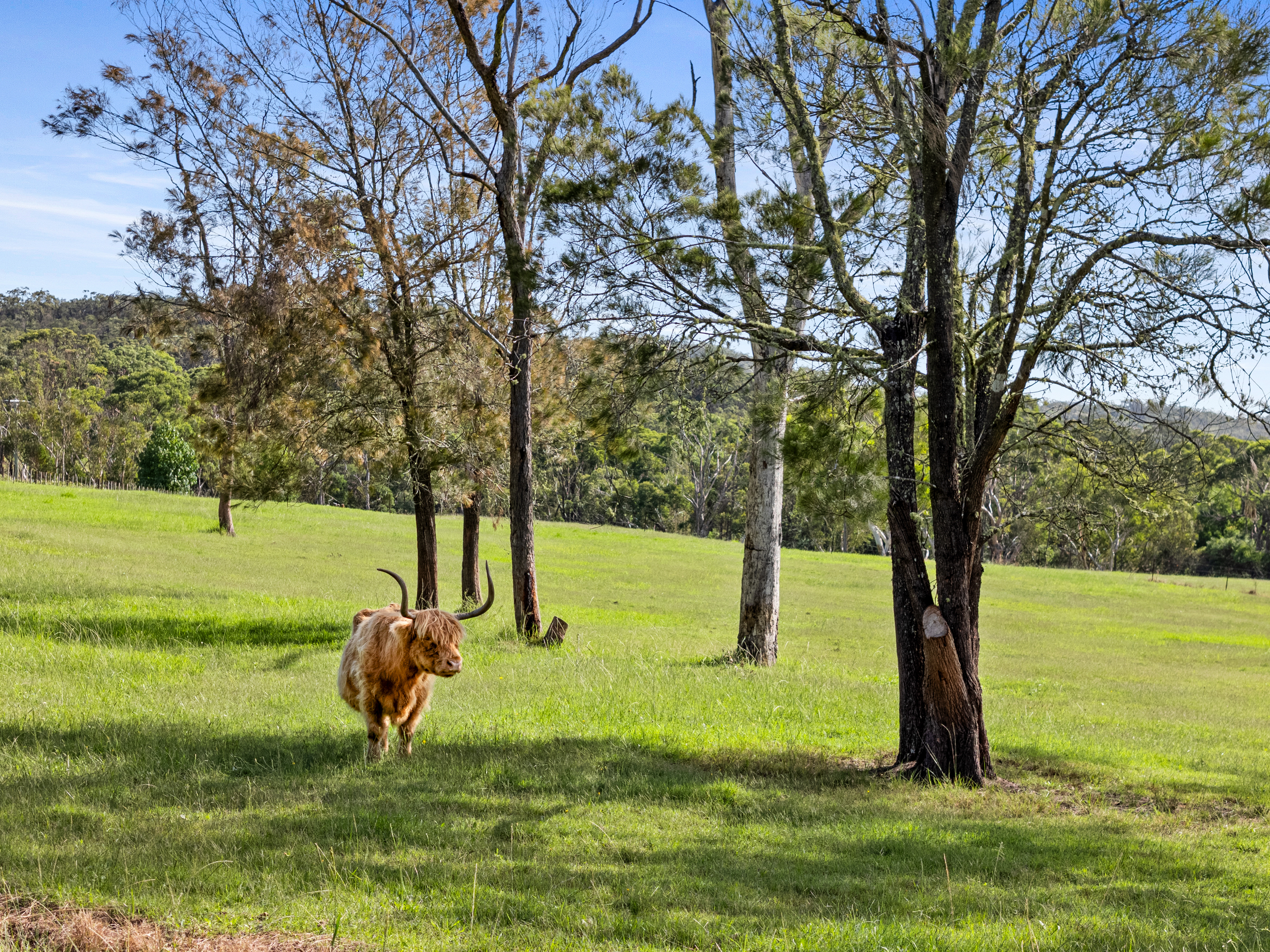 101 Pacific Highway, Mount White, NSW 2250-Image
