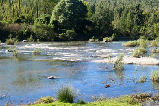 23, Rocky River Road, Rocky River, NSW 2372