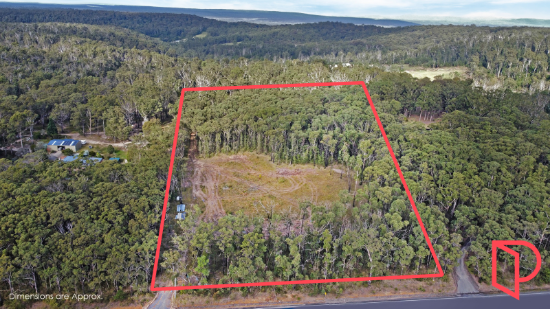 407 Turpentine Road, Tomerong, NSW 2540