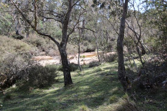 8, 401 Glen Allen Road, Glen Allen, NSW 2631