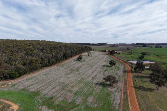Lot 2639  Elphick-Fleeton Road, Sunnyside, WA 6256