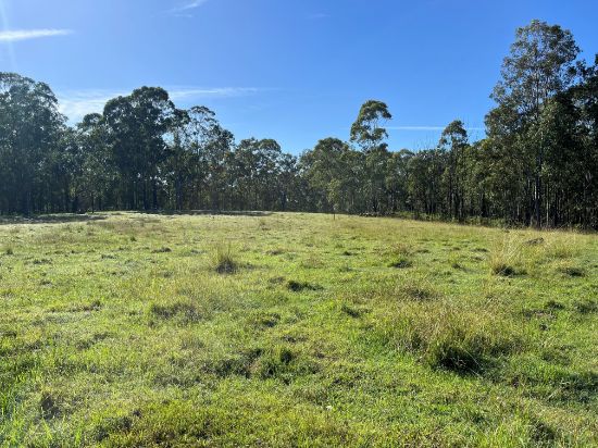 Lot 14 Old Dyraaba Road, Dyraaba, NSW 2470