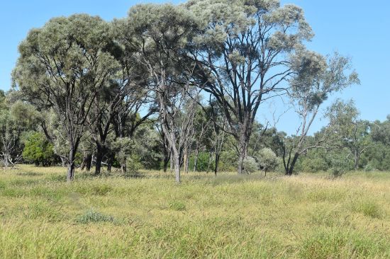 Moor Moor Road, Dutton River, Qld 4821