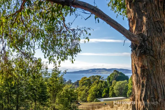 Lot 1 Cripps Rd, Woodbridge, TAS, 7162