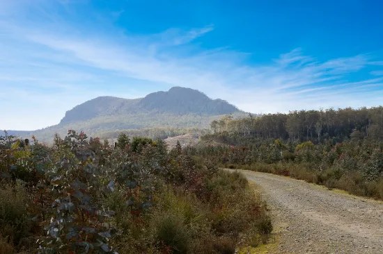 Lot 1 Dilgers Hill Road, Mathinna, TAS, 7214