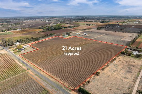 Lot 1 Euston Avenue, Irymple, Vic 3498