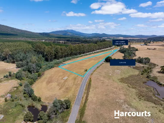 Lot 1 Golconda Road, Blumont, TAS, 7260