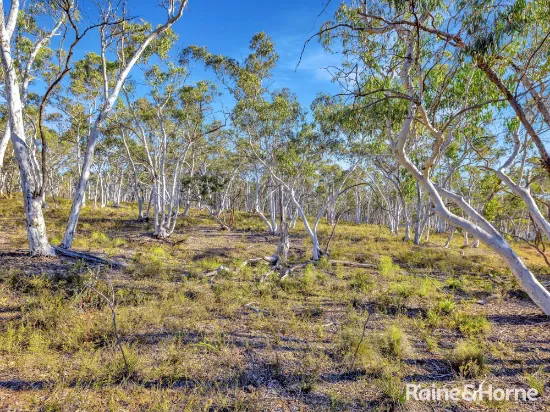 Lot 1 Hill End Road, Tambaroora, NSW, 2850