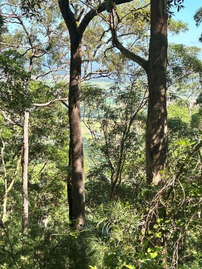 Lot 1, Mount French Road, Mount French, Qld 4310