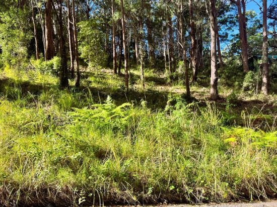 Lot 10, 20 New Forster Road, Smiths Lake, NSW 2428
