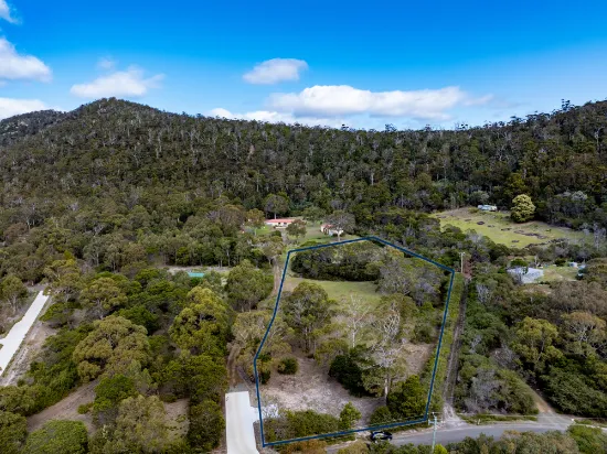 Lot 101/248 Harveys Farm Road, Bicheno, TAS, 7215