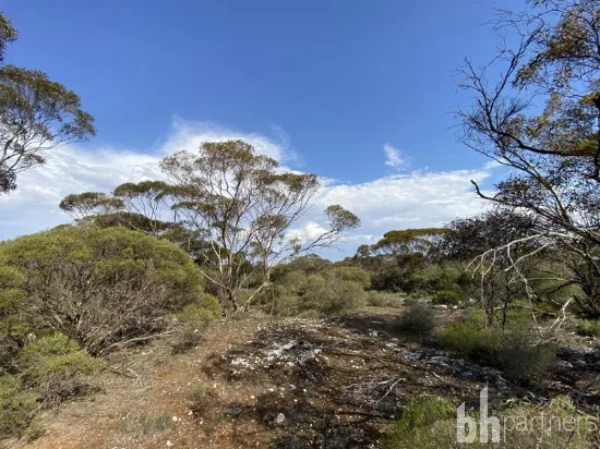 Lot 106 Jackson Road, Ettrick, SA, 5253