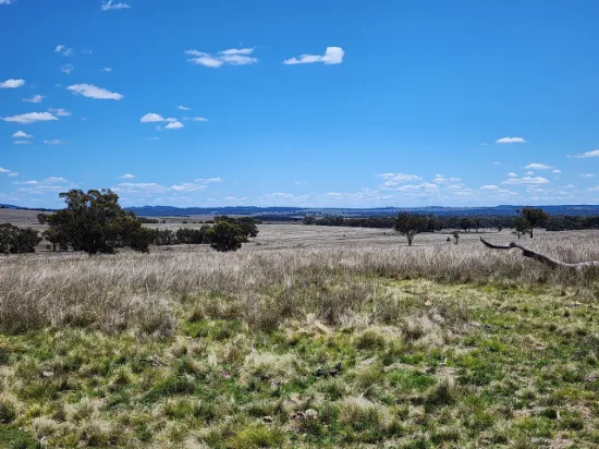 Lot 11 Pikedale Lane, Pikedale, QLD, 4380