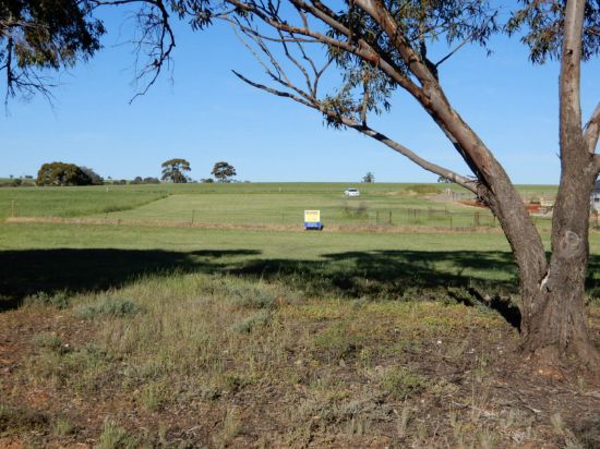 Lot 12 The Cattle Track, Crystal Brook, SA 5523