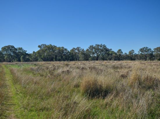 Lot 134 Robinsons Road, Young, NSW 2594