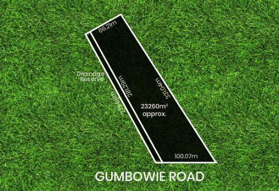 Lot 17, Gumbowie Road, Coobowie, SA 5583