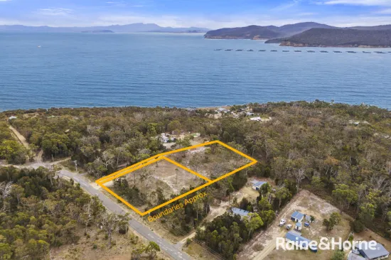 Lot 2/92 Skeggs Avenue, White Beach, TAS, 7184