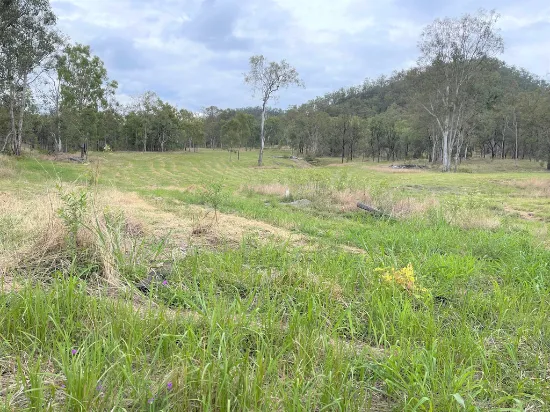 Lot 2 Blacksnake Road, Black Snake, QLD, 4600