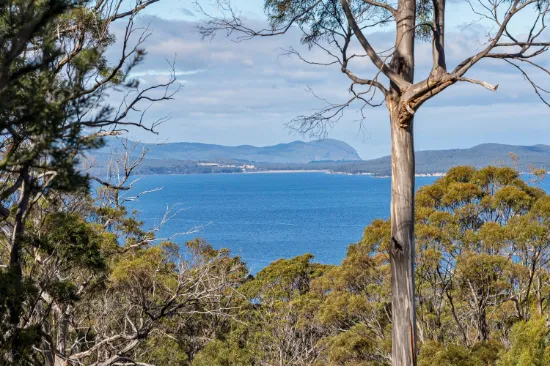 Lot 2 Scarrs Road, Garden Island Creek, TAS, 7112