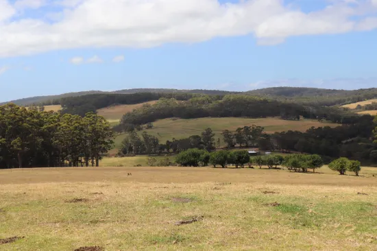 Lot 26 Valley of the Giants Road, Tingledale, WA, 6333