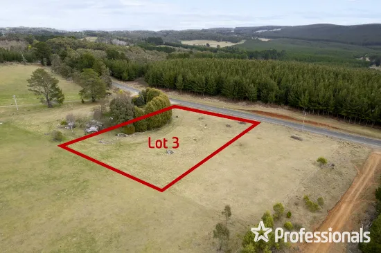 Lot 3/180 Sunny Corner Road, Kirkconnell, NSW, 2795