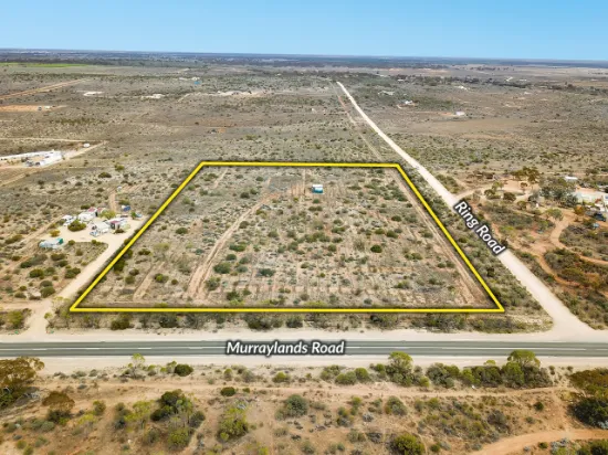 Lot 315 Murraylands Road, Morgan, SA, 5320