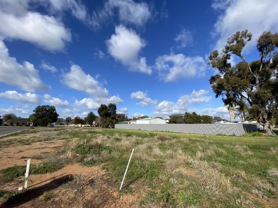 Lot 38 Lewis Crescent, Finley, NSW 2713