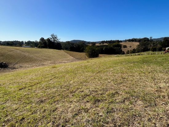 Lot 4 Wallaby  Park, Congarinni, NSW 2447