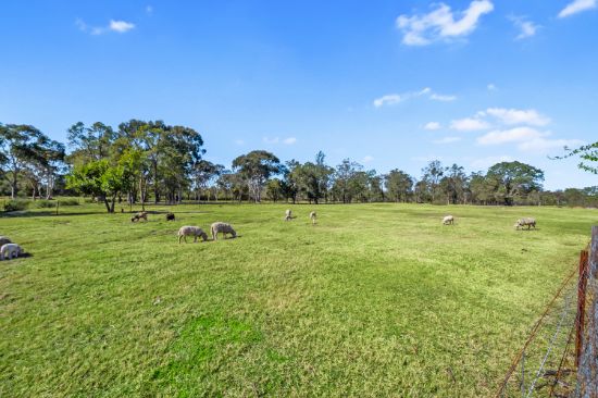 Lot 41, 50 Persoonia Avenue, Agnes Banks, NSW 2753