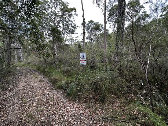 Lot 423 Deepwater Road, North Arm Cove, NSW 2324