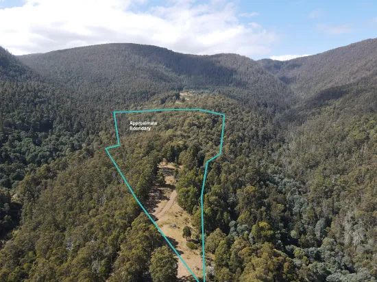 Lot 5 Liddells Road, Crabtree, TAS, 7109